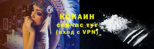 гидра Зеленокумск