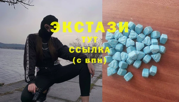 гидра Зеленокумск