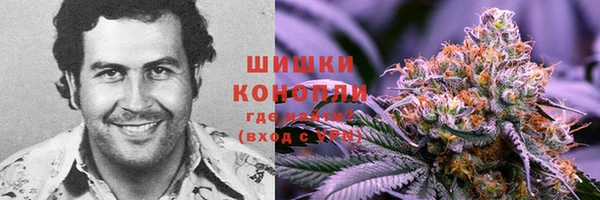 гидра Зеленокумск