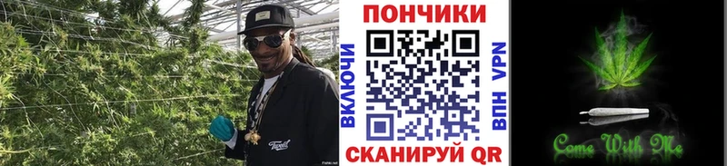 Конопля Amnesia  Купить  Западная Двина 